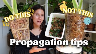 Propagation tips for maximum success [upl. by Lurline]