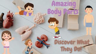 Amazing Body Parts – Discover What They Do kidsvideo kidslearning [upl. by Anihta653]