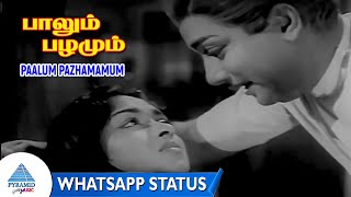 உண்ணும் அழகை  Paalum Pazhamamum Whatsapp Status  Palum Pazhamum Movie Song  Sivaji  Saroja Devi [upl. by Ellennoj]