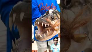 New Cool Tool🥰New Viral gadgets🥰 fishing fish bigfish fishinglife shark [upl. by Savdeep971]