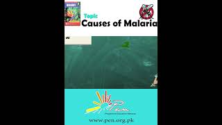 Causes of Malaria part 2 I Biology  Biology penacademy malarialifecycle malaria [upl. by Solrak149]