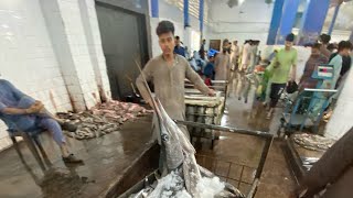 Karachi Fisheries 3pm Hayla Market Updates 27 Oct [upl. by Tail]