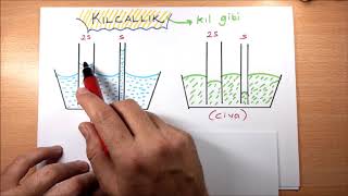 9SINIF FİZİK ADEZYON KOHEZYON YÜZEY GERİLİMİ KILCALLIK [upl. by Ehr]