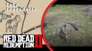 CÓMO CAZAR AL LOBO LEGENDARIO  Red Dead Redemption 2 [upl. by Fauver515]