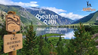 AbsarokaBeartooth Wilderness  The Beaten Path  Cinematic Story  Grizzlies to Glacier Lakes [upl. by Einnaf573]