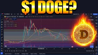 Can Doge Still Reach 1  Dogecoin News [upl. by Aiekat]