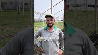 ¡Transforma tu trabajo manual con nuestras motoazadas  Agrostore agriculture motoazadas [upl. by Dennison]