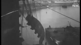 38 ton new rudder fitted to SS Berengaria at Southampton Floating Dock 1928 [upl. by Eatnohs]