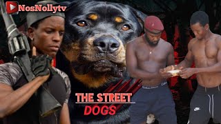 THE STREET DOGS EP3 ruthkadiri247 nollywoodmovies firstnollytv sunnyritikavlogs [upl. by Okiman558]