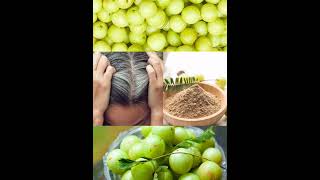 Amla powder for hair benefits haircare adivasihairoilhairgrowth hairadivasihairoilreviewshorts [upl. by Pippa8]