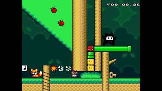 TAS SMW Ninji Season 5 Level 2 2758s [upl. by Nylirek]