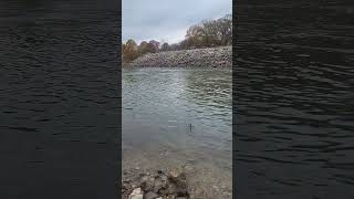 Oologah Spillway fishing catfish whitebass crappiefishing hybrids [upl. by Agnes]