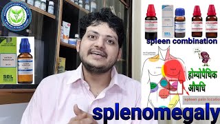 Enlarged spleen  तिल्ली का बढ़ना  Homeopathic Medicine For Splenomegaly  Spleen Combination [upl. by Lerrad]