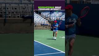 SCHWARTZMAN GREAT FOREHAND INTENSITY tennis shorts [upl. by Cheston434]