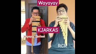 Wayayay  Kjarkas en ZAMPOÑA cover [upl. by Lihp973]