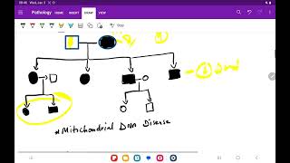 Pathology Genetics mitochondrial diseases and genomic imprinting [upl. by Jr]