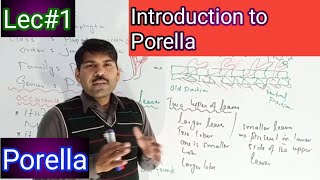 introduction to porella [upl. by Wesle]