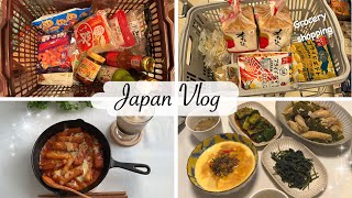 japan vlog  housewife shopping at Kaldi amp Muji grocery shopping make dinner and lunch 🍳 [upl. by Weinhardt]