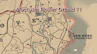 RDR2  17 Moccasin Flower Orchid Location  Duchesses and other Animals  Exotics Requests [upl. by Garibald]