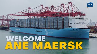 Welcome MV Ane Maersk  CICT  2024  maersk [upl. by Norine]