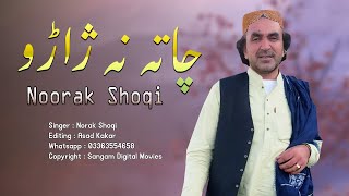 Norak Shoqi New Pashto Songs 2020  Chata Na Zharo  Noorak shoqi song [upl. by Artened]