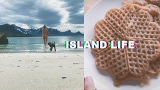 Week in My Life Living in Lofoten Islands glutenfree vegan waffleshomemade skincare  surfing [upl. by Elicec180]