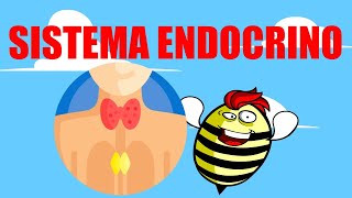 🟥SISTEMA ENDOCRINO 💚EXPLICADO FÁCIL🧠GLÁNDULAS Y HORMONAS🟥 [upl. by Carder]