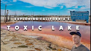 The Salton Sea Californias Abandoned Paradise [upl. by Eiliah]