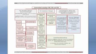 Übersicht Dissoziative und Somatoforme Störungen für die Heilpraktikerprüfung [upl. by Eirojram484]