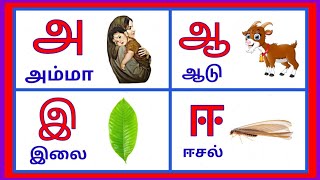 UYIRELUTHUKAL 12  உயிர் எழுத்துக்கள் 12 TAMIL LEARNING VIDEOS FOR KIDS AND TODDLERS [upl. by Esiuol866]