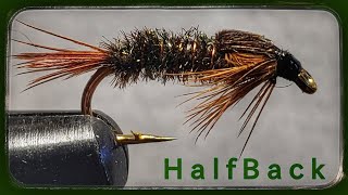 How to Tie a Pheasant Halfback Fly tying Tutorial [upl. by Neroc610]