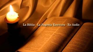 La Biblia Católica en audio 08 Evangelio según San Mateo Capítulo 22 23 [upl. by Mirilla]