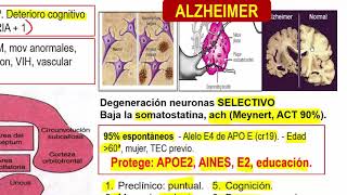 Demencias y Alzheimer [upl. by Ahserkal]