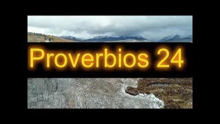 Versiculos de la biblia PROVERBIOS 24 [upl. by Kallista]