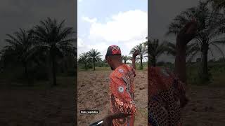 fertiliser animalfarming automobile pigging farming pig agriculture [upl. by Leahcimdivad]