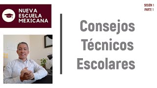 Lineamientos Organización y Funcionamiento de los Consejos Técnicos Escolares [upl. by Toor]