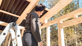 SO MUCH Progress  Homestead Build  Shed Build pt 3 [upl. by Karlin569]