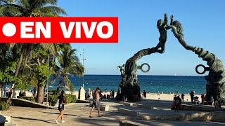 Playa del Carmen en vivo  La Quinta Avenida y Mamitas Beach [upl. by Sonia]