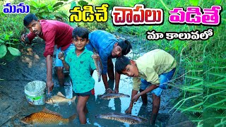 maa kaluvalo chpalu pattinam  manu madugulo chapalu fish hutting  telugu letest all atoz [upl. by Yecrad9]