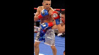 Teofimo Lopez in Slow Motion Shorts [upl. by Malorie]