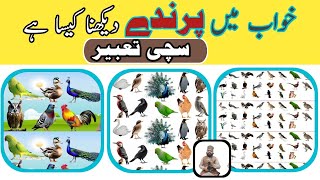 Khwab mein parinda dekhna  khwab mein parinde dekhna ki tabeer  birds Islamic dream interpretation [upl. by Tung]