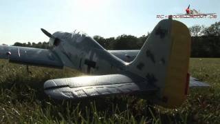 Test HYPE Focke Wulf FW190 auf RCMODELLSCOUTDE [upl. by Barna490]