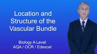 A Level Biology quotThe Location and Structure of the Vascular Bundlequot [upl. by Nomelc]