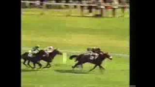 1981 St Leger Stakes [upl. by Waylin]