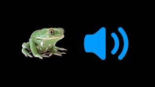 Frog Sound Effects HD  Free Sounds Collection  Frog Sounds At Night amp Individual Ribbit Sounds [upl. by Almeeta]