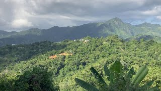 Ciales Puerto Rico Su Gente y Atracciones [upl. by Hersch337]