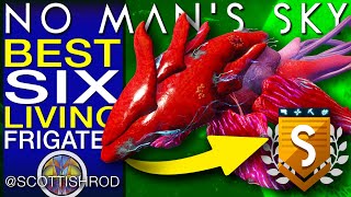 The Best Six SClass Living Frigate Trade Industrial Combat No Mans Sky Update NMS Scottish Rod [upl. by Dupuis]