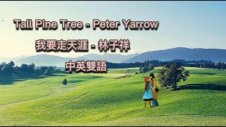 Tall Pine Tree Vs 我要走天涯  Peter Yarrow Vs 林子祥【中英雙語歌詞】VJBO [upl. by Sianna]