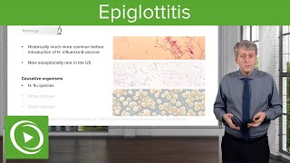 Infections of the Upper Pediatric Airway Epiglottitis – Pediatric Infectious Diseases  Lecturio [upl. by Sillig]