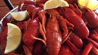 Crawfish recipe [upl. by Golding626]